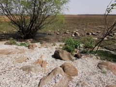 -上海吴淞炮台湾国家湿地公园