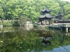 android_upload_pic-忠山公园