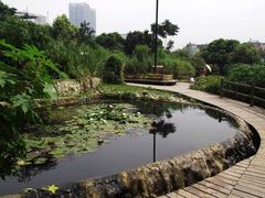 -成都市活水公园