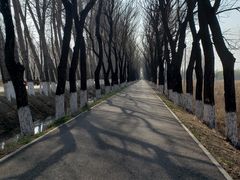 -东郊湿地公园