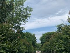 -武汉紫薇都市田园