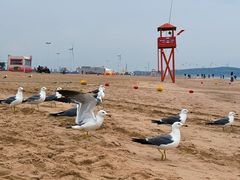 -那香海钻石沙滩浴场