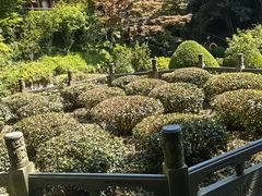 -十八棵（老龙井）御茶园(老龙井店)