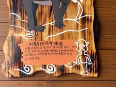 -武汉动物园