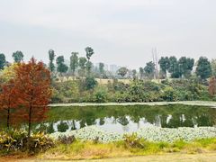 -东岳体育公园
