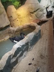 -酷嗒动物文化乐园(cutezoo西溪乐天城店)