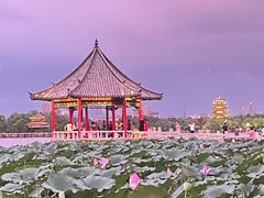 -济南大明湖景区