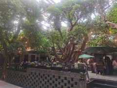 -云境生态园(红谷滩店)