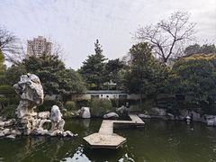 -紫荆山公园