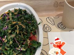 -油梨树 AVOCADO TREE(亮马桥店)