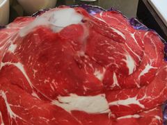 -美宁肥牛(旗舰店)