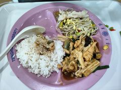 -清华大学-清芬园