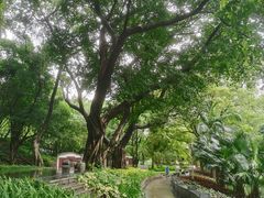 -晓港公园