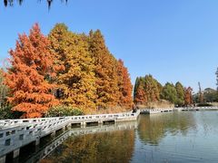 -白塘生态植物园