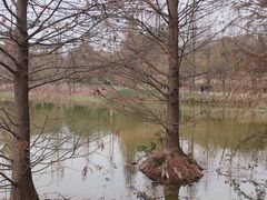 -浙江农林大学(东湖校区)