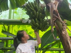 -呀路古热带植物园