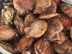 -天宝酒店(万达店)