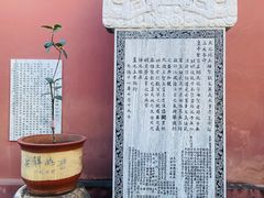 -大理文庙(大理古城)