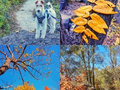 -云岫谷游猎自然风景区