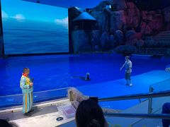 -芜湖新华联大白鲸海洋公园