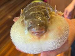 -永安鱼庄·镇江菜(丁卯店)