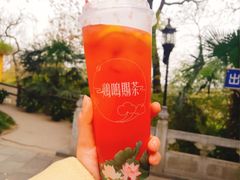 -鸡鸣赐茶(鸡鸣寺路店)