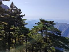 -黄山风景区