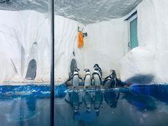 -太平洋海底世界