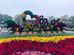 -鼓楼(兴庆区)