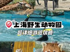 -上海野生动物园