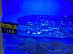 -大榭国际大酒店-中餐厅