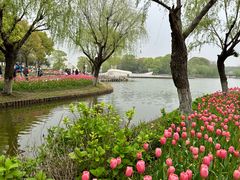 -上海鲜花港