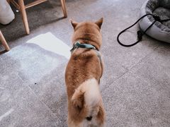 -三目仓咖啡(贤南路店)