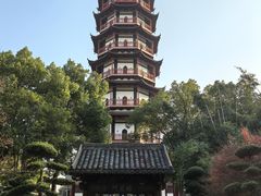 -绳金塔
