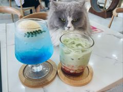 -喵园·猫主题咖啡厅·撸猫·猫咖(国贸店)