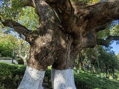 -中国美术学院象山校区-民艺博物馆