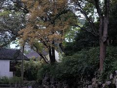 -秋霞圃