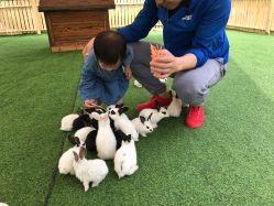 -萌宠亲子动物乐园(槐房万达店)