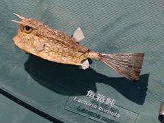 -中国湿地博物馆