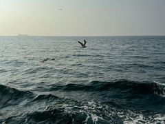 -海驴岛(荣成市)
