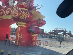 -曹州牡丹园