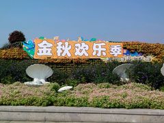 -杭州湾海上花田景区