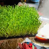 湊湊·茶憩｜酸菜锅涮肉肉美味绝绝子