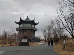 -盐城丹顶鹤湿地生态旅游区
