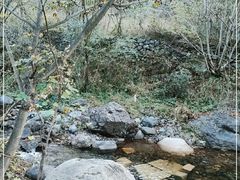 -云岫谷游猎自然风景区