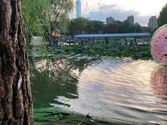 -白塘生态植物园