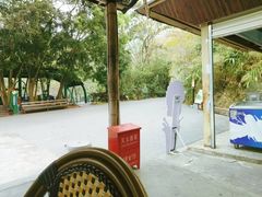 -西双版纳原始森林公园