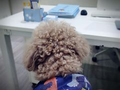 -暖阳宠物医院·犬猫康复中心·骨科