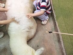 -正佳雨林生态植物园