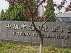 -中粮丰通（北京)食品有限公司